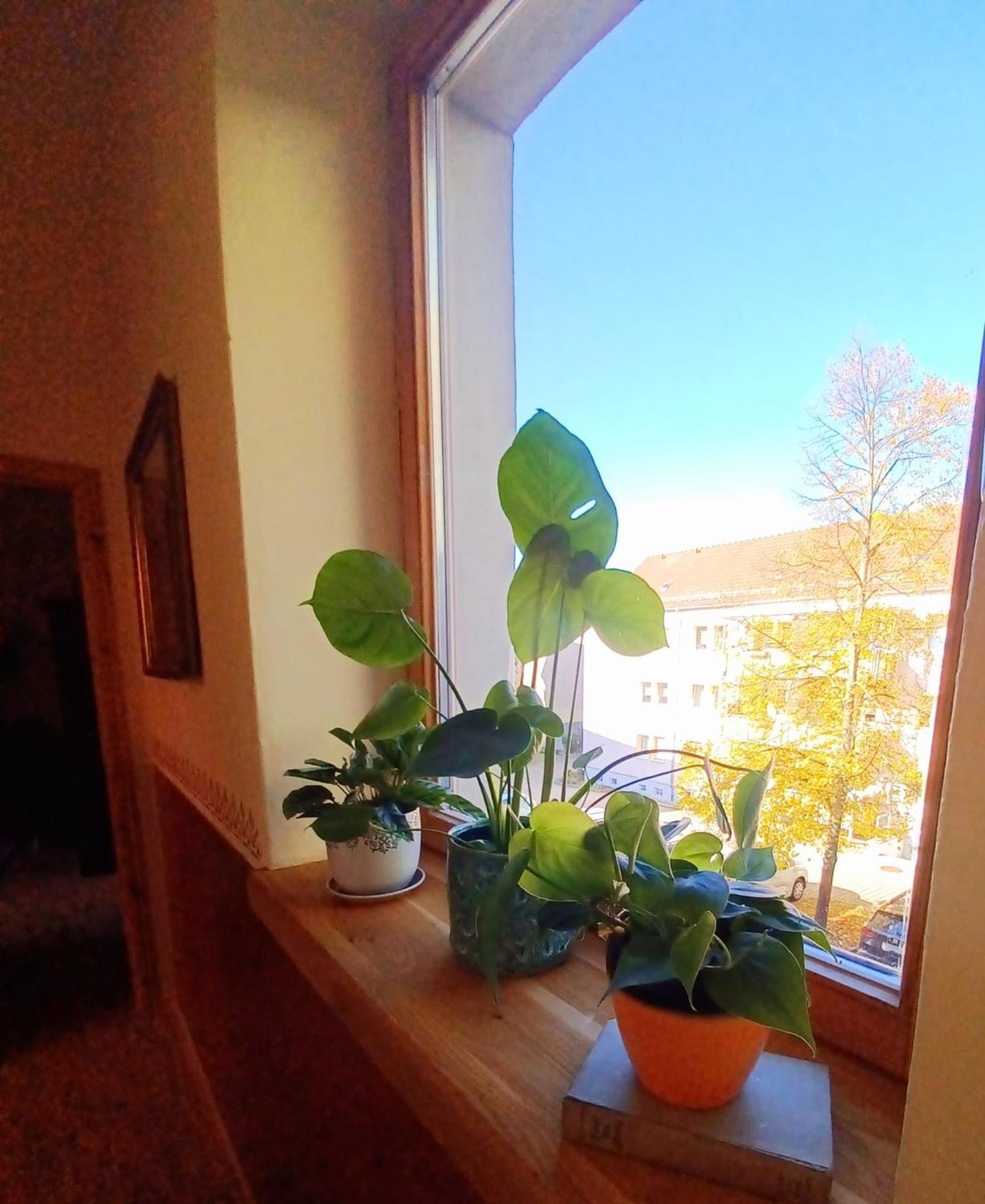 Ferienwohnung Antik 哥达 外观 照片