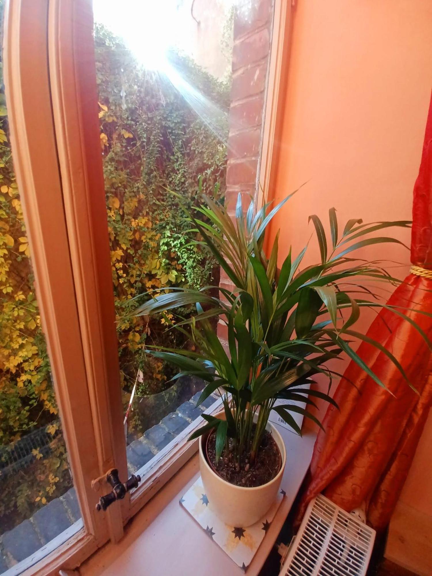 Ferienwohnung Antik 哥达 外观 照片